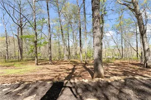 5515 Holly Hill Dr, Gainesville, GA 30506 - Photo 48