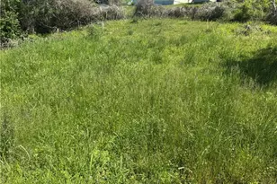 165 Cherokee Ave, Ball Ground, GA 30107 - Photo 6