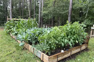 287 Bell Loop, Chatsworth, GA 30705 - Photo 30