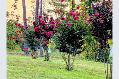 287 Bell Loop, Chatsworth, GA 30705 - Photo 6