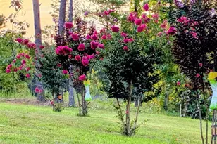 287 Bell Loop, Chatsworth, GA 30705 - Photo 6