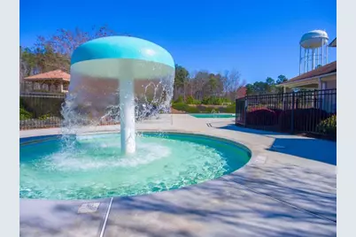 75 Townsend Drive, Senoia, GA 30276 - Photo 84