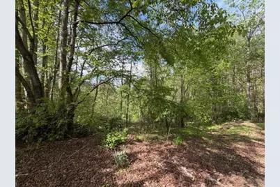 811 Ammons Road, Waleska, GA 30183 - Photo 8