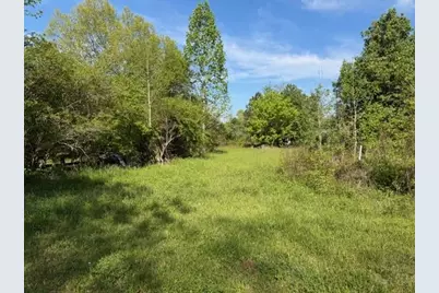 811 Ammons Road, Waleska, GA 30183 - Photo 4