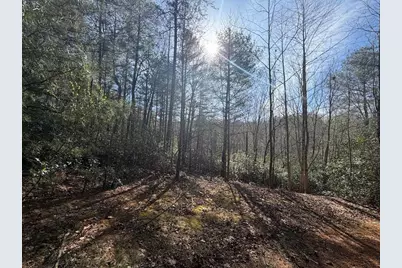 0 Frogtown Place, Dahlonega, GA 30533 - Photo 4