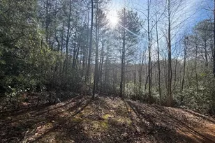 0 Frogtown Pl, Dahlonega, GA 30533 - Photo 4