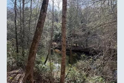 0 Frogtown Place, Dahlonega, GA 30533 - Photo 10