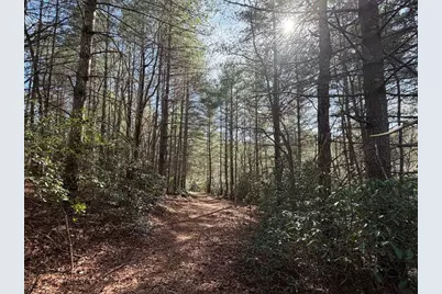 0 Frogtown Place, Dahlonega, GA 30533 - Photo 8