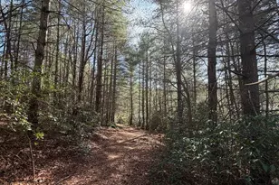 0 Frogtown Pl, Dahlonega, GA 30533 - Photo 8