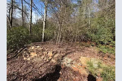 0 Frogtown Place, Dahlonega, GA 30533 - Photo 6