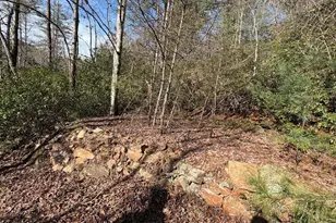 0 Frogtown Pl, Dahlonega, GA 30533 - Photo 6