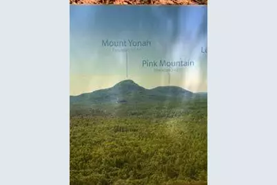 176 Soaring Hawk Trail, Cleveland, GA 30528 - Photo 4