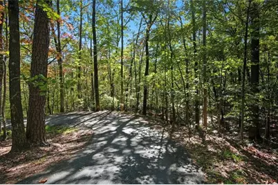 226 Wild Azalea, Jasper, GA 30143 - Photo 2