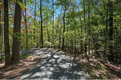 226 Wild Azalea, Jasper, GA 30143 - Photo 2
