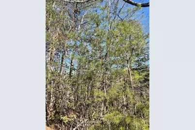 0 Rosen Strasse, Helen, GA 30545 - Photo 4