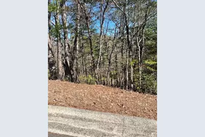 0 Rosen Strasse, Helen, GA 30545 - Photo 1