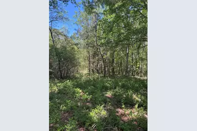 00 Roquemore Road, Athens, GA 30607 - Photo 6