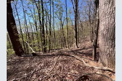 0 Sassafras Court, Jasper, GA 30143 - Photo 2