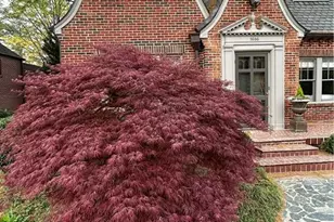 1686 Johnson Rd NE, Atlanta, GA 30306 - Photo 6