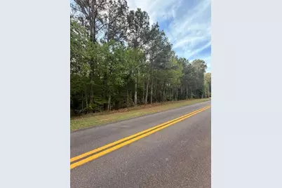 1665 Malcom Drive, Madison, GA 30650 - Photo 4