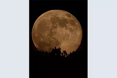 1621 Dover Circle, Ranger, GA 30734 - Photo 40