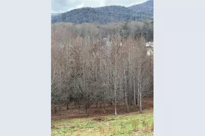 0 Hwy 75 Alt Ga, Cleveland, GA 30528 - Photo 2