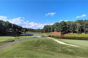 250 Hawks Lake Dr, Ball Ground, GA 30107 - Photo 118