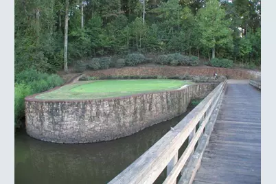 250 Hawks Lake Drive, Ball Ground, GA 30107 - Photo 52