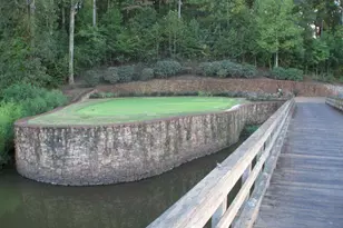 250 Hawks Lake Dr, Ball Ground, GA 30107 - Photo 116