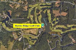 250 Hawks Lake Dr, Ball Ground, GA 30107 - Photo 38