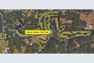 250 Hawks Lake Drive, Ball Ground, GA 30107 - Photo 102
