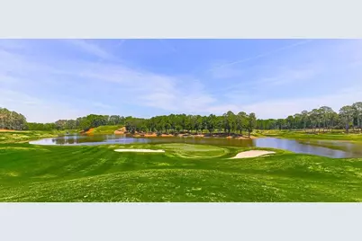 250 Hawks Lake Drive, Ball Ground, GA 30107 - Photo 114