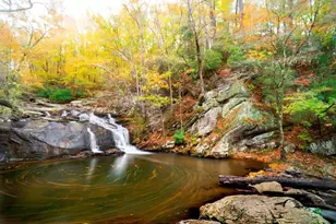 6354 Shannon, Union City, GA 30291 - Photo 10