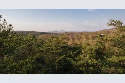 171 Huckleberry Lane, Mineral Bluff, GA 30559 - Photo 48