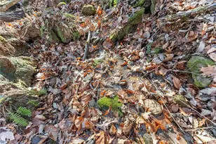 3523 Lighthouse Ln, Gainesville, GA 30504 - Photo 62