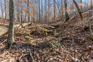 3523 Lighthouse Ln, Gainesville, GA 30504 - Photo 64