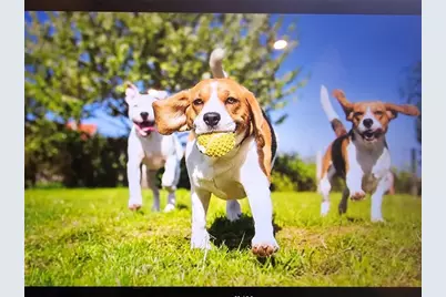 219 Parnassus Avenue, Locust Grove, GA 30248 - Photo 10