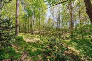 919 Lebanon, Woodstock, GA 30188 - Photo 40