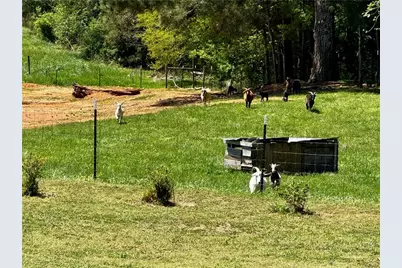 4515 Jacksonville Road, Tallapoosa, GA 30176 - Photo 38