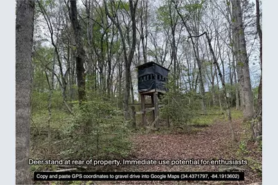 0 Sweetwater Juno Road, Dawsonville, GA 30534 - Photo 14