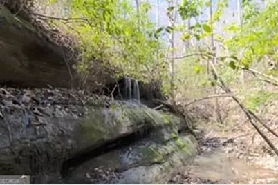 0 Soapstone Road, Baldwin, GA 30511 - Photo 6