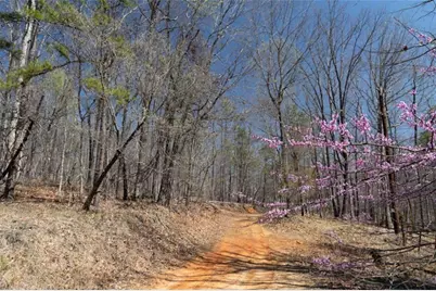 0 Soapstone Road, Baldwin, GA 30511 - Photo 4