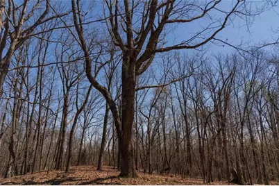 0 Soapstone Road, Baldwin, GA 30511 - Photo 10