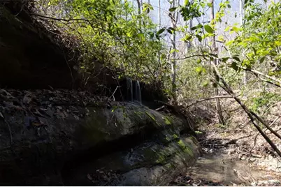 0 Soapstone Road, Baldwin, GA 30511 - Photo 12