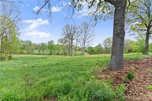 4841 Cobb Griffin, Gillsville, GA 30543 - Photo 72