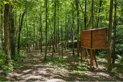 430 Sassafras Mountain Laurel Lane, Jasper, GA 30143 - Photo 106