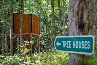 430 Sassafras Mountain Laurel Lane, Jasper, GA 30143 - Photo 100