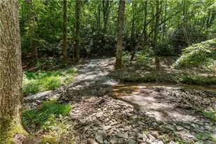 430 Sassafras Mountain Laurel Ln, Jasper, GA 30143 - Photo 112