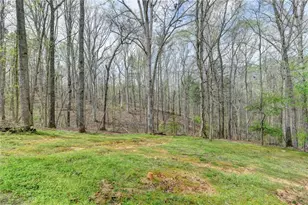 8780 Waterside Dr, Ball Ground, GA 30107 - Photo 40