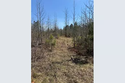 738 Old Mineral Springs, Elberton, GA 30635 - Photo 20